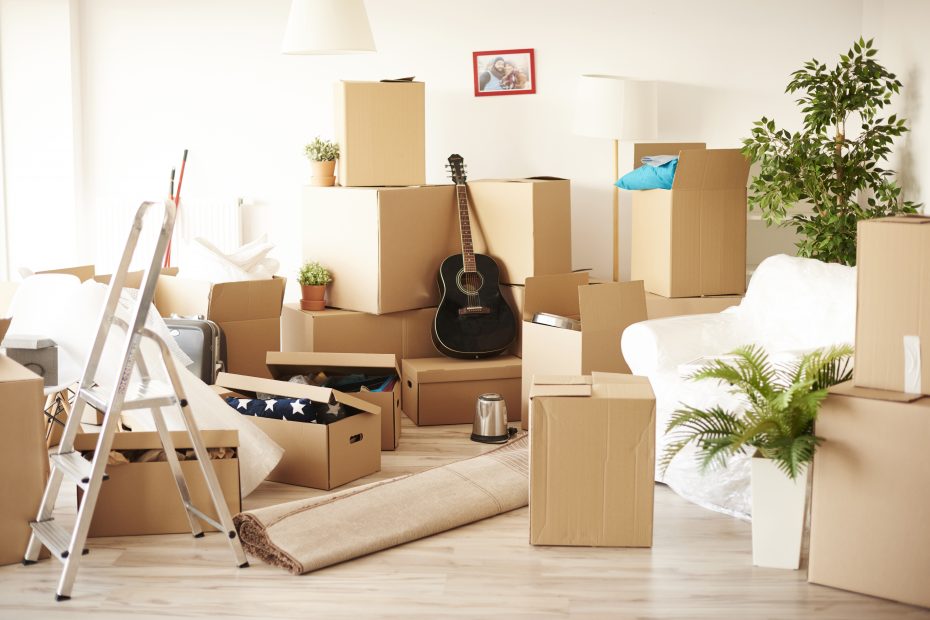 Removal and storage services